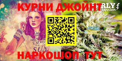 мдма Новозыбков