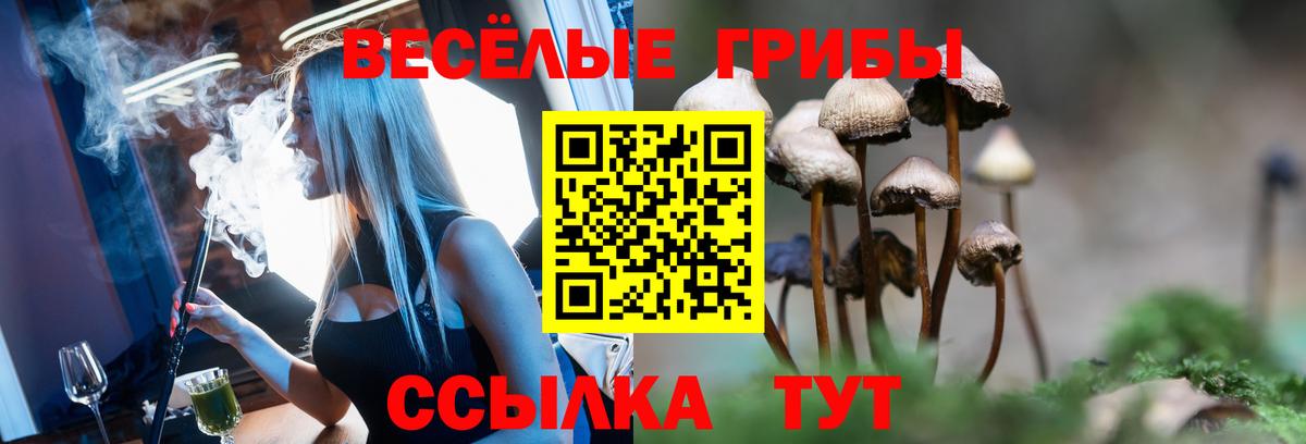 Партизанск  Псилоцибиновые грибы прущие грибы  Вход с VPN 